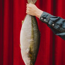 Pesca Amsterdam