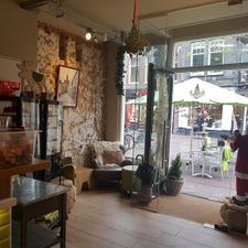 Barista Café Haarlem