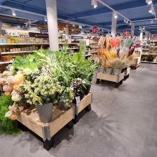 Xenos Meppel