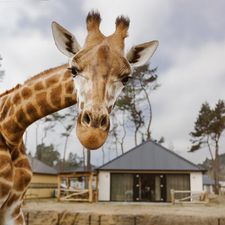 Safaripark Beekse Bergen