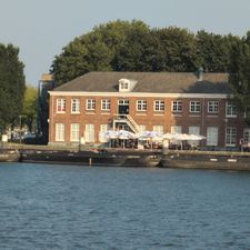 Scheepskameel