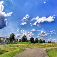 Almere Oostvaarders