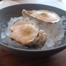Noble Gastro House
