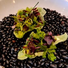 JEF gastrobar