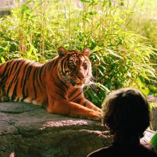 Diergaarde Blijdorp