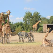 Safaripark Beekse Bergen