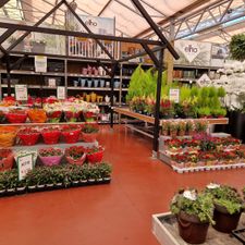 AVRI Bloem-en Tuincentrum