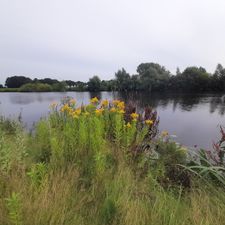 Molecaten Park De Agnietenberg