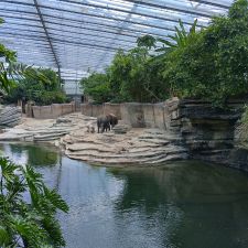 WILDLANDS Adventure Zoo Emmen