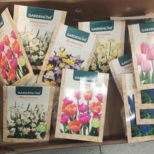 ALDI Bodegraven Doortocht
