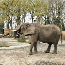 Ouwehands Dierenpark