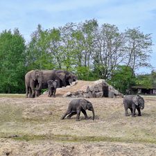 Safaripark Beekse Bergen