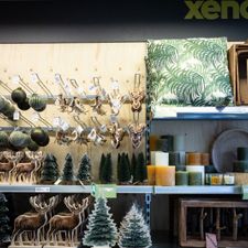 Xenos Emmeloord
