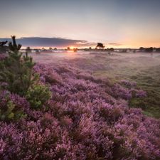 Veluwe Hotel de Beyaerd