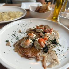 Segugio
