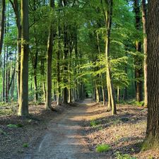Witte Berken Natuurhotel
