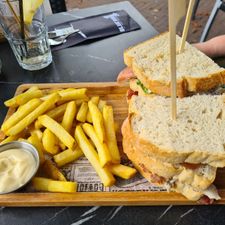 Blue Dog Breda