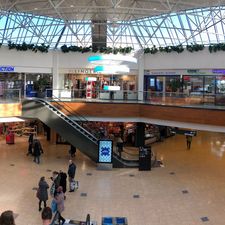 Action Arnhem