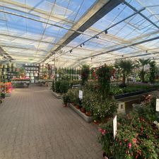 Tuincentrum Almeerplant