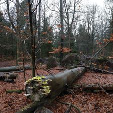 De Spaarbankhoeve