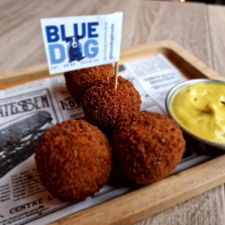 Blue Dog Breda