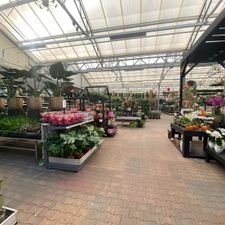 Tuincentrum Almeerplant