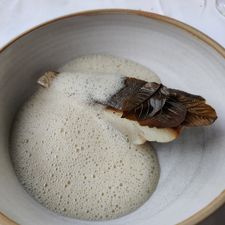 Foer Amsterdam