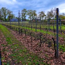 De Blauwe Camer
