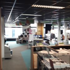 Expert Steenwijk
