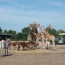 Safaripark Beekse Bergen