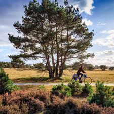 Veluwe Hotel de Beyaerd