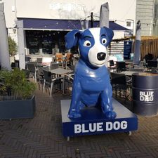 Blue Dog Breda