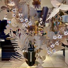 Nespresso Boutique