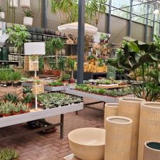 Intratuin Elst