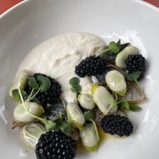 SAAR café - resto