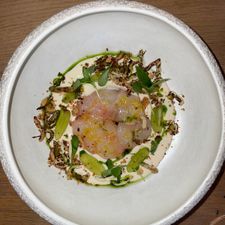 HAVN - Restaurant in Hoorn