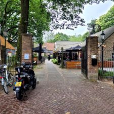 Bregje Oosterhout