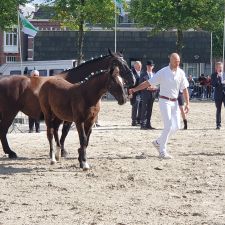 Q-Park Ossenmarkt