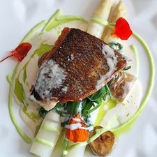 Noble Gastro House