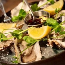 Restaurant Het Zuiden Fish & Wine - Steak & Beer