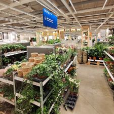 IKEA Delft