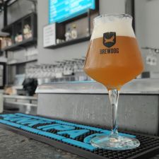 BrewDog Rotterdam