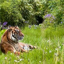 Burgers' Zoo