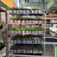 HORNBACH