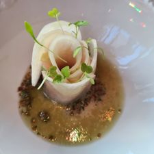 Ono Rotterdam