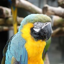 Dierenpark de Oliemeulen