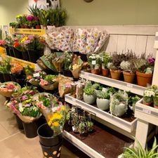 Jumbo
