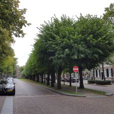 HEMA