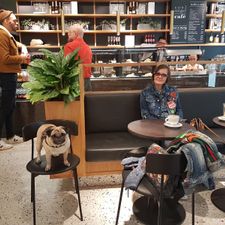 De Bijenkorf Rotterdam