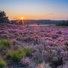 Landal Landgoed De Hellendoornse Berg